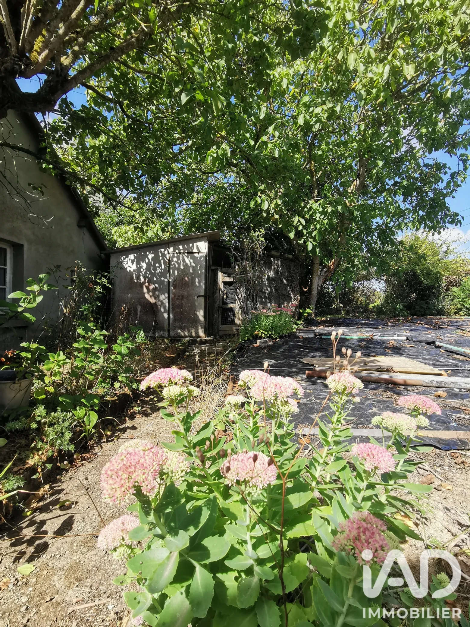 Vente maison à Squiffiec (22200) : maison de village 4 pièces 90 m² - 2104120 — 3