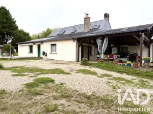 House in NOUZILLY (37380)