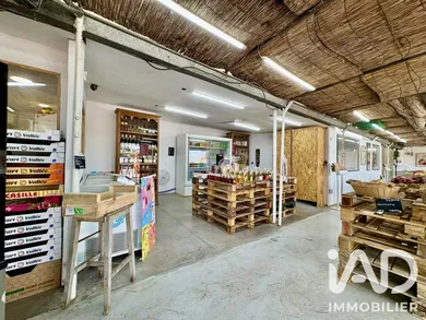 Alimentation à Perpignan (66000)