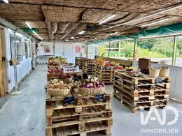 Alimentation à Perpignan (66000)