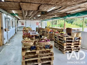 Alimentation à Perpignan (66000)