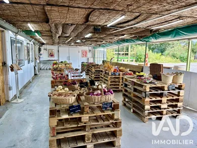 Alimentation à Perpignan (66000)
