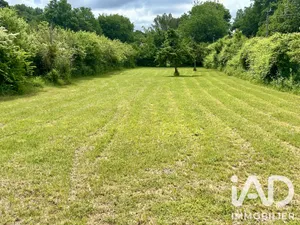 Terrain à Brue-Auriac (83119)