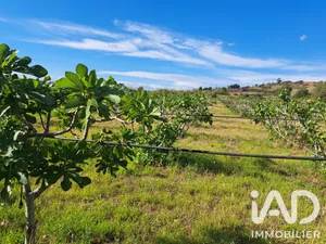Agriculture, Viticulture à TOURBES (34120)