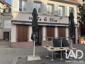 Bar, Brewery, Tobacco shop in Wissembourg (67160)