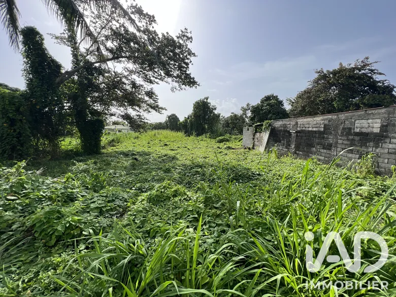 Terrain à Capesterre-Belle-Eau (97130) · 206 250 €