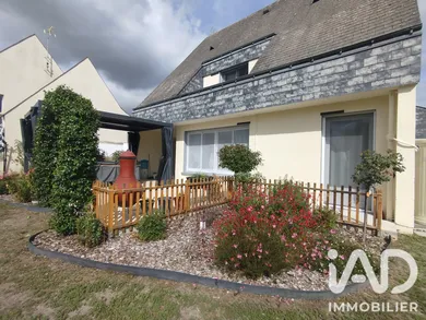 Traditional house in Bourgueil (37140)