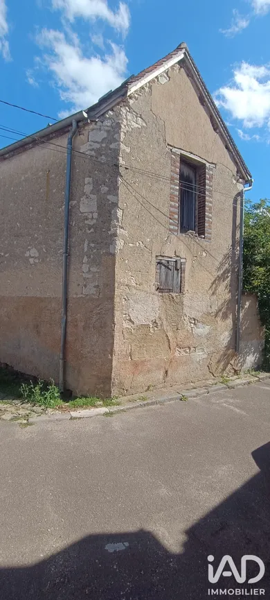 Village house in Brienon-sur-Armançon (89210)