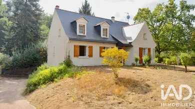 House in Brain-sur-Allonnes (49650)