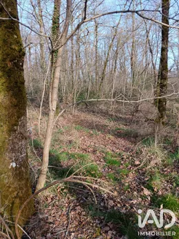 Terrain loisirs à Sainte-Gemme (36500)