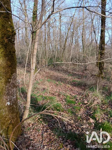 Terrain loisirs à Sainte-Gemme (36500)