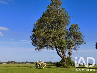 Maison de campagne à Plovan (29720)