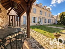 Mansion in Blandy (77115)
