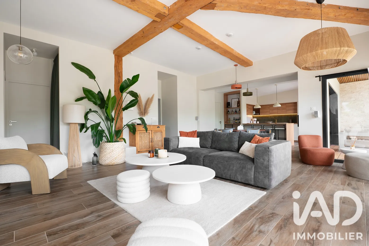 Vente maison à Arthès (81160) : maison d'architecte 4 pièces 161 m² - 2109419 — 3