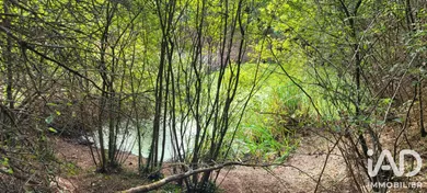 Terrain loisirs à Aizenay (85190)
