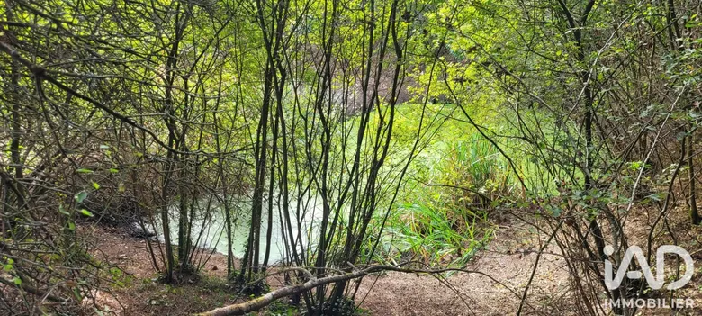 Terrain loisirs à Aizenay (85190) · 42 000 €