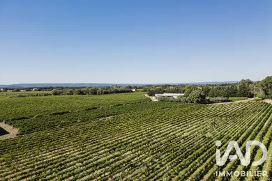 Agriculture, Viticulture​ à Visan (84820)