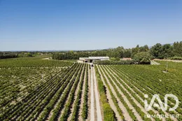 Agriculture, Viticulture à Visan (84820)