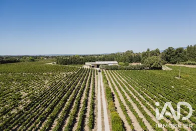 Agriculture, Viticulture​ à Visan (84820)