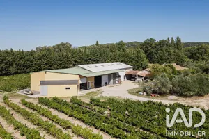 Agriculture, Viticulture à Visan (84820)