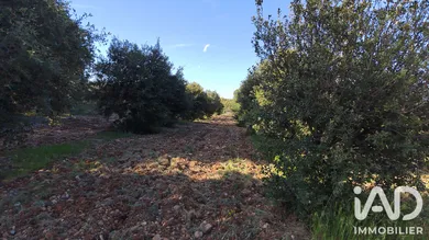 Land in Sérignan-du-Comtat (84830)