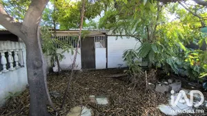 House in Saint-Louis (97450)