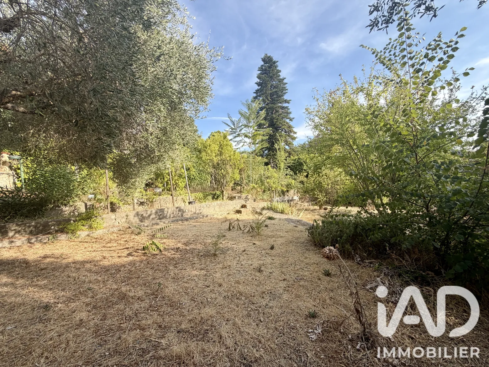Vente maison à Mouans-Sartoux (06370) : maison 3 pièces 118 m² - 2108902 — 3