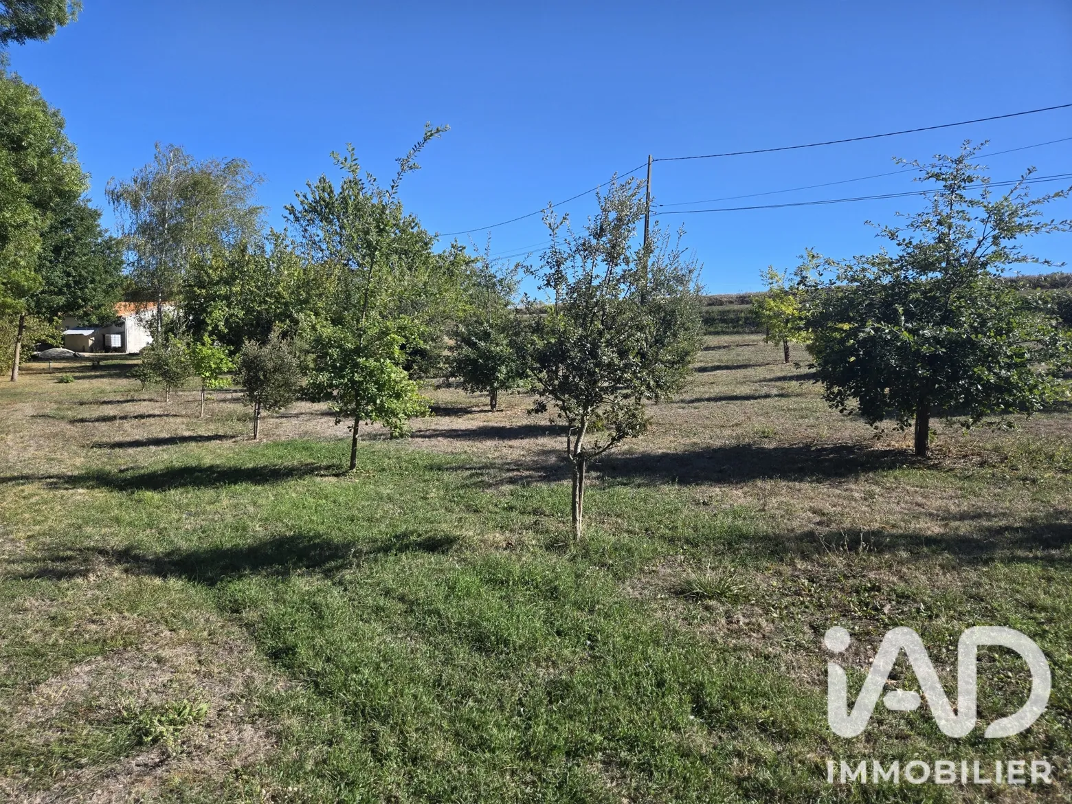 Vente maison à Val des Vignes (16250) : maison de campagne 5 pièces 120 m² - 2112563 — 2