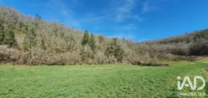 Terrain à bâtir à Monceaux sur Dordogne (19400)