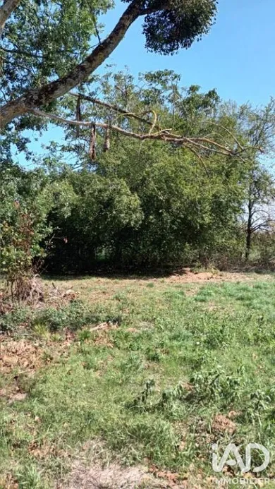Terrain à bâtir à Tercé (86800)