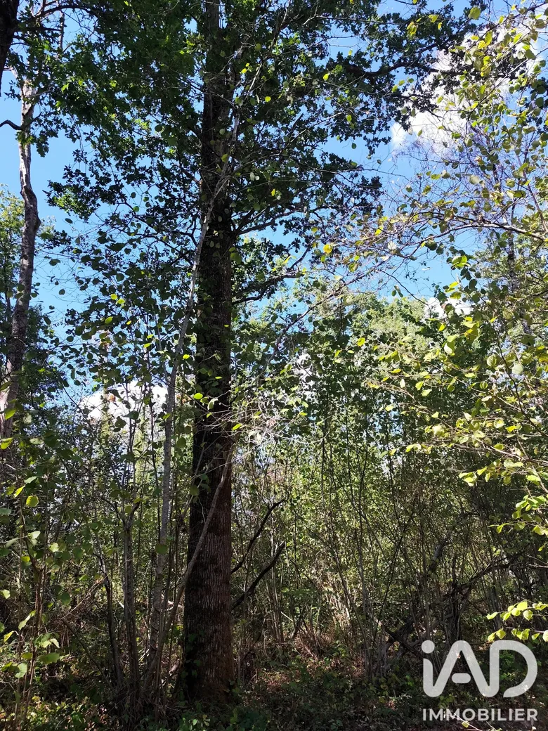 Terrain à Rozay-en-Brie (77540) · 475 000 €