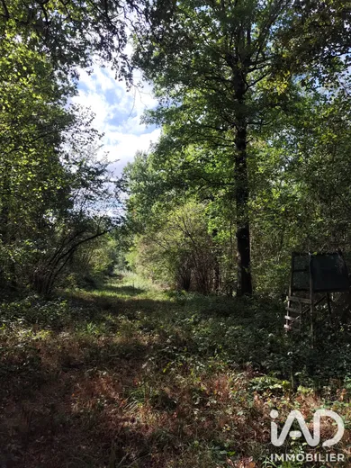 Land in Rozay-en-Brie (77540)