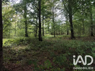 Land in Rozay-en-Brie (77540)