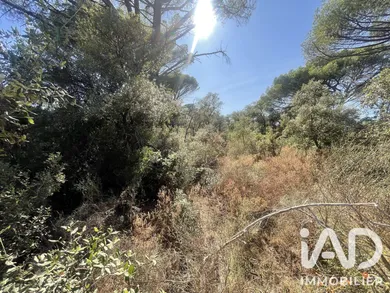 Terrain loisirs à Le Cannet-des-Maures (83340)