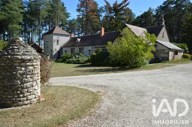 Domain in Saint-Georges-sur-Cher (41400)