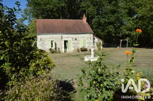 Domain in Saint-Georges-sur-Cher (41400)