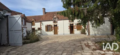 Traditional house in Saint-Père-sur-Loire (45600)