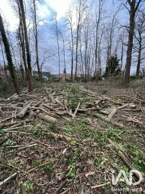 Terrain à bâtir à Larchant (77760)
