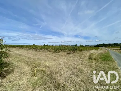 Terrain à Saint-Laurent-du-Bois (33540)