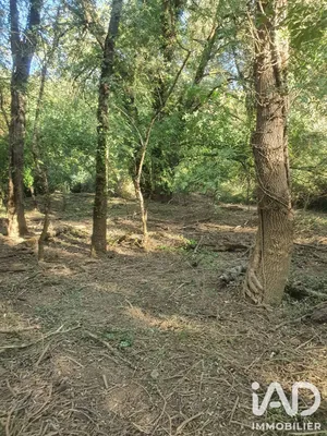 Terrain à Bras (83149)