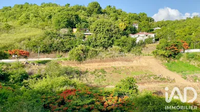 Terrain à Vieux-Habitants (97119)
