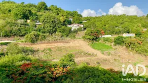 Terrain à Vieux-Habitants (97119)