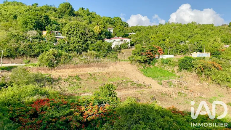 Terrain 702 m² · à Vieux-Habitants · 702 m² · 104 000 €
