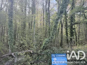 Building plot in Sommecaise (89110)