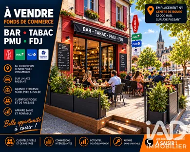 Bar, Brewery, Tobacco shop in Baugé-en-Anjou (49150)