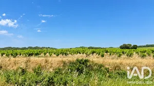 Terrain à bâtir à Bédarrides (84370)