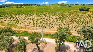 Terrain à bâtir à Bédarrides (84370)
