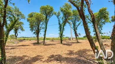 Terrain à bâtir à Bédarrides (84370)