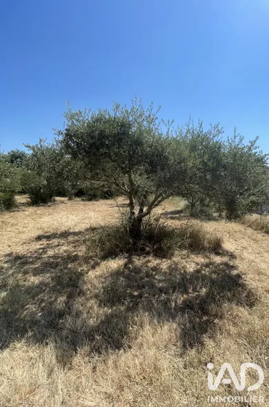 Terrain à bâtir à Saint-Siffret (30700)