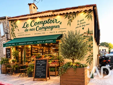 Commercial in Peymeinade (06530)